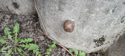 większy obrazek nr 9