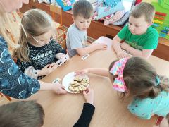 Co wykluwa się z jajka zajęcia