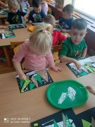 LAS ZIMĄ