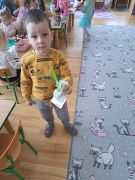 cebulka