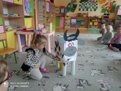 DOIMY KRÓWKĘ
