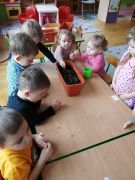 Zakładamy zielony ogródek w sali