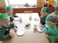 Zielone śniadanie