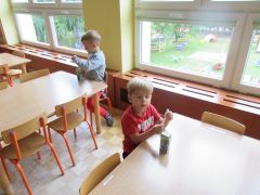 większy obrazek nr 6