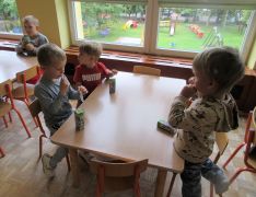 większy obrazek nr 9