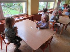 większy obrazek nr 14