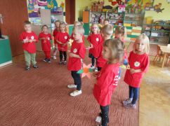 większy obrazek nr 4