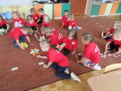 większy obrazek nr 6