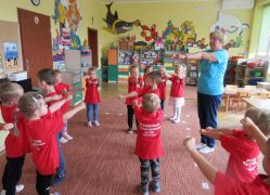 większy obrazek nr 23