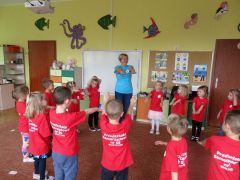 większy obrazek nr 26