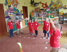 większy obrazek nr 47