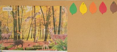 większy obrazek nr 1