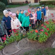 większy obrazek nr 8