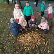 większy obrazek nr 9