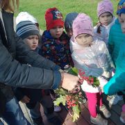 większy obrazek nr 15