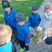 większy obrazek nr 18