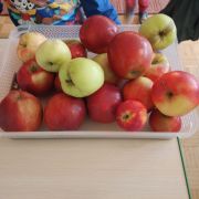 większy obrazek nr 2