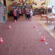 większy obrazek nr 16