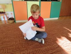 większy obrazek nr 10