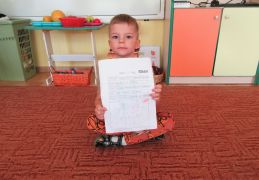 większy obrazek nr 22