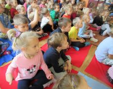 większy obrazek nr 10