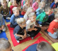 większy obrazek nr 13