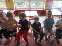 większy obrazek nr 15