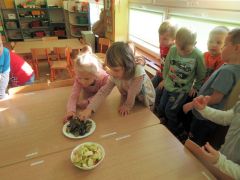 większy obrazek nr 47