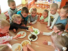 większy obrazek nr 57