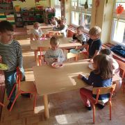 większy obrazek nr 15