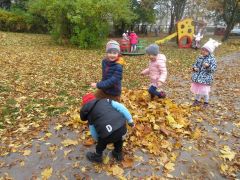 większy obrazek nr 3