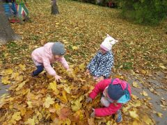 większy obrazek nr 10