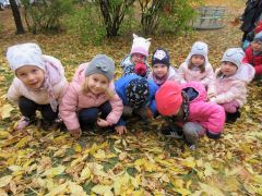 większy obrazek nr 25