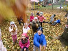 większy obrazek nr 28