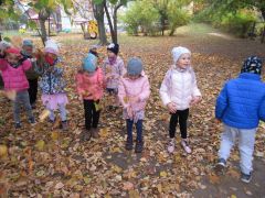 większy obrazek nr 50