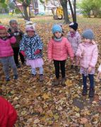 większy obrazek nr 51