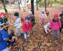 większy obrazek nr 52