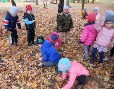 większy obrazek nr 54