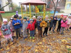 większy obrazek nr 61