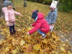 większy obrazek nr 11