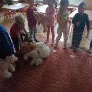 większy obrazek nr 8