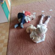 większy obrazek nr 21