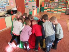 większy obrazek nr 25