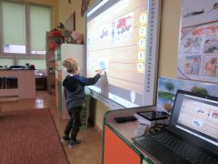 większy obrazek nr 41