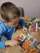 większy obrazek nr 8