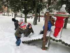 większy obrazek nr 6