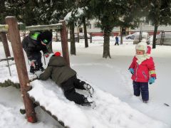 większy obrazek nr 16