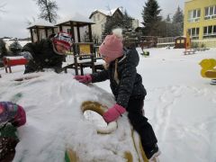 większy obrazek nr 19