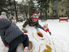 większy obrazek nr 21