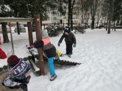 większy obrazek nr 28